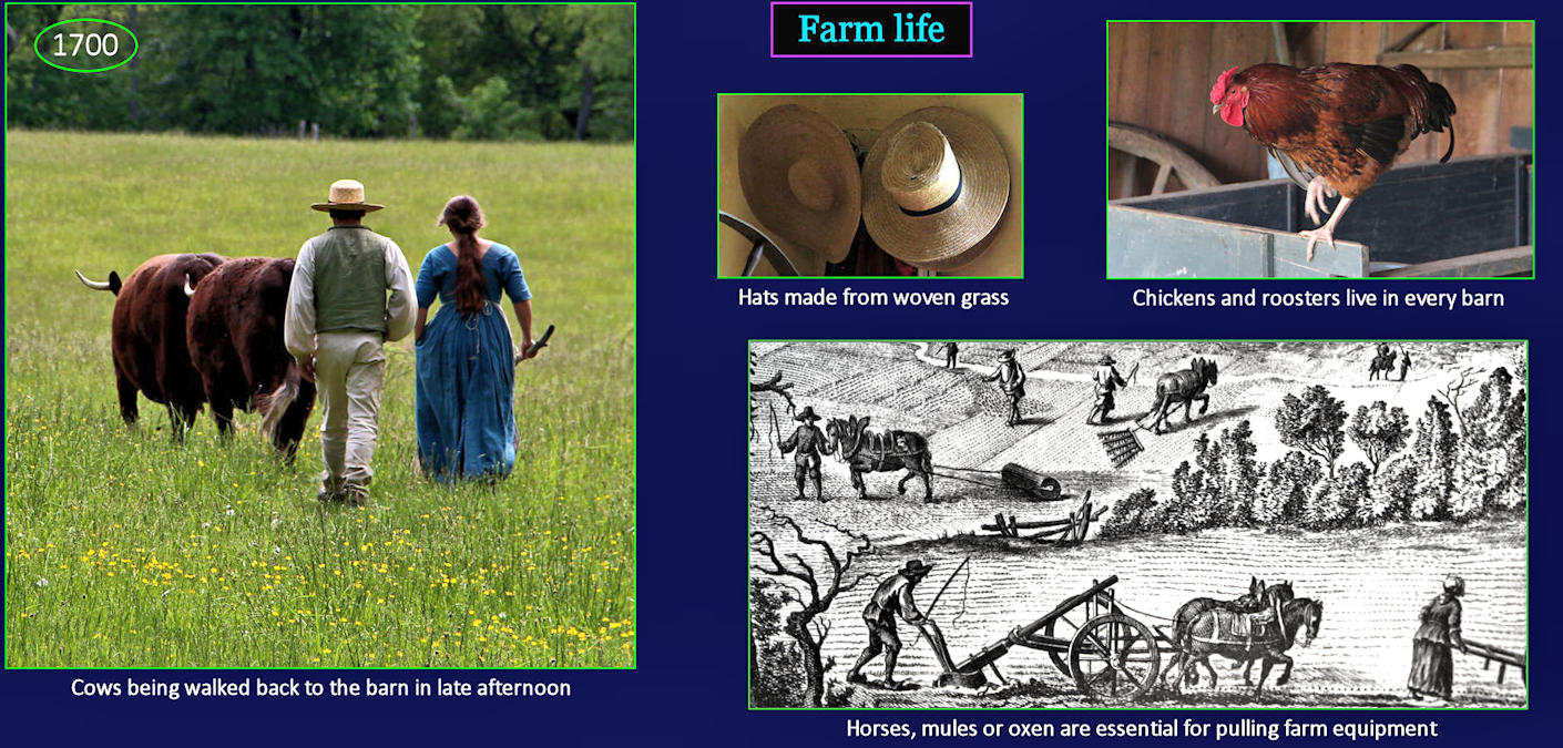 Simple life, 1700